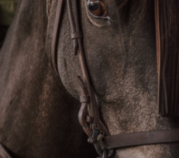 Mascara fina de piel color castaño