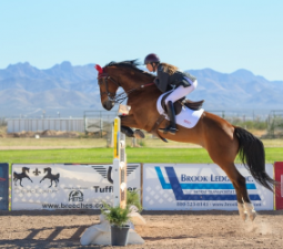 Mascara fina de piel color castaño